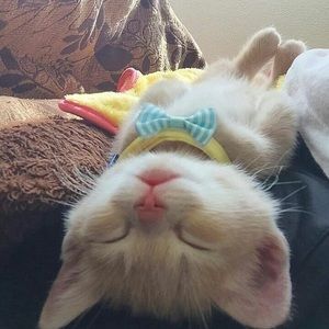 Meet your Posher, Evan